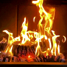 Załaduj obraz do przeglądarki galerii, Brykiet kominkowy NESTRO Dębowy. Pół Paleta - 210 kg. Cena z dostawą.